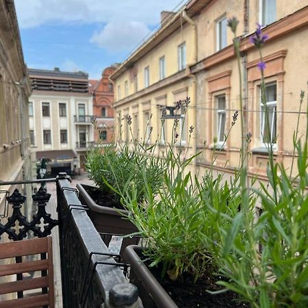 Old Town Apartment カウナス エクステリア 写真