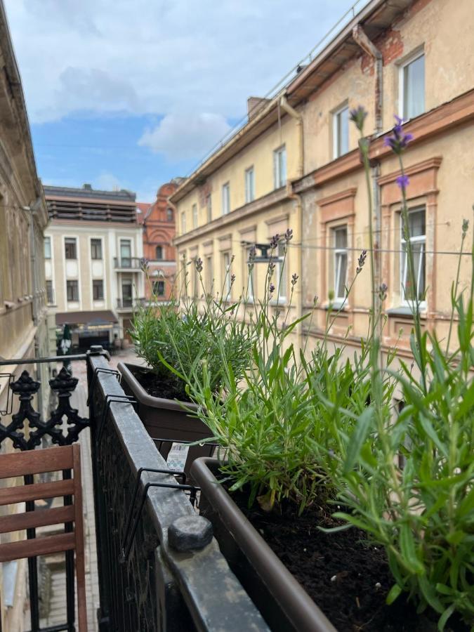 Old Town Apartment カウナス エクステリア 写真